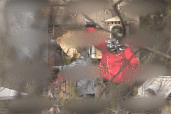 Vừa tái xuất sau dịch Covid-19, Triệu Lệ Dĩnh đã thực hiện cảnh treo mình trên cao