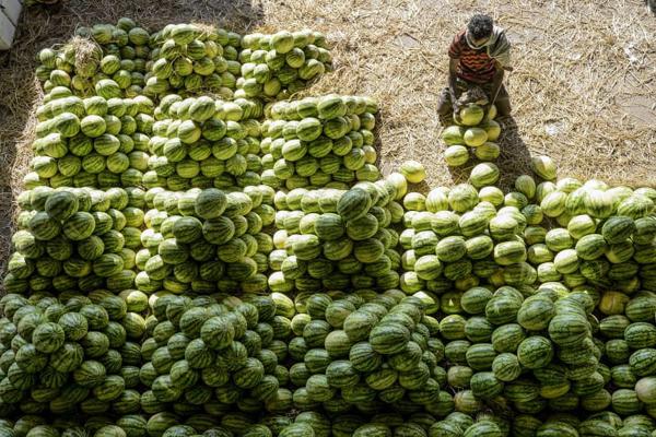 Khám phá cung đường xuyên biển vượt Đại Tây Dương-1
