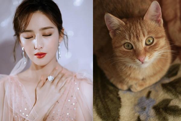 Tự nhiên xuất hiện những dấu hiệu này trên mặt, bảo sao tiền cứ không cánh mà bay-4