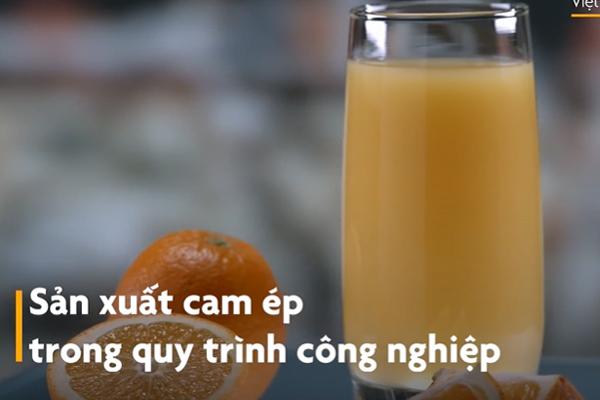 8X gợi ý 7 món nước ép trái cây giúp giải nhiệt cho mùa nắng nóng-9