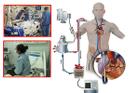 Bệnh nhân số 19 dương tính Covid-19 sức khỏe xấu, phải can thiệp tim phổi nhân tạo