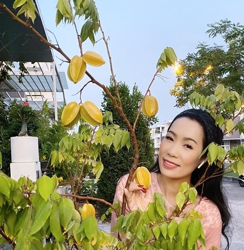Trịnh Kim Chi trồng cây ăn trái trong biệt thự 200 m2-2