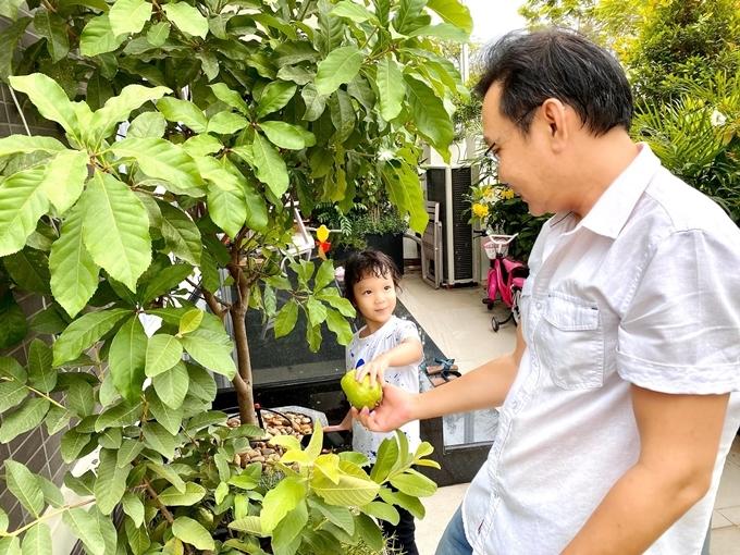 Trịnh Kim Chi trồng cây ăn trái trong biệt thự 200 m2-4
