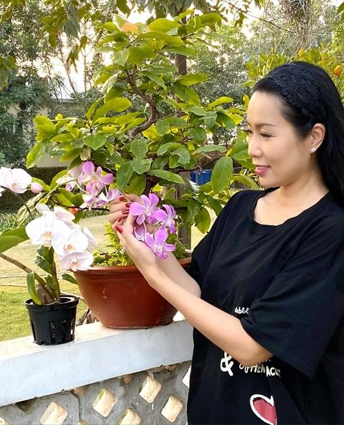 Trịnh Kim Chi trồng cây ăn trái trong biệt thự 200 m2-9