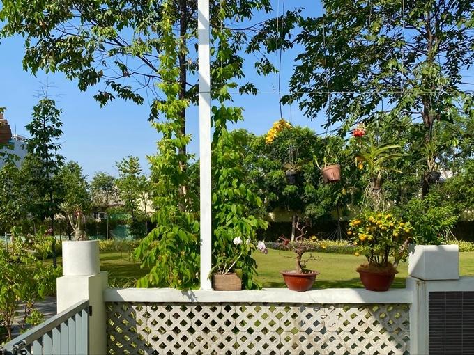 Trịnh Kim Chi trồng cây ăn trái trong biệt thự 200 m2-11