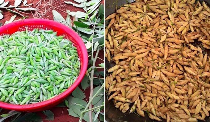 Đặc sản hú hồn ở Đắk Lắk được HHen Niê yêu thích-2