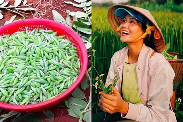 Hoa hậu HHen Niê ăn nồi cháo... lúc nhúc toàn kiến-9