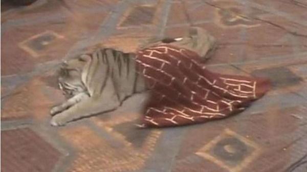 Rùng mình 5 lần chết hụt suýt bức tử đoàn phim Tây Du Ký-6