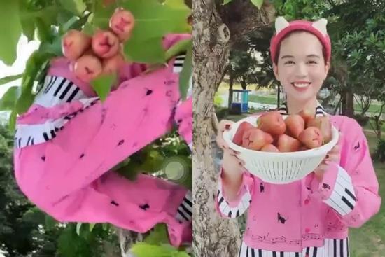 Ngọc Trinh vắt vẻo trèo cây hái mận, ai nấy thót tim vì sợ mỹ nhân rơi tự do