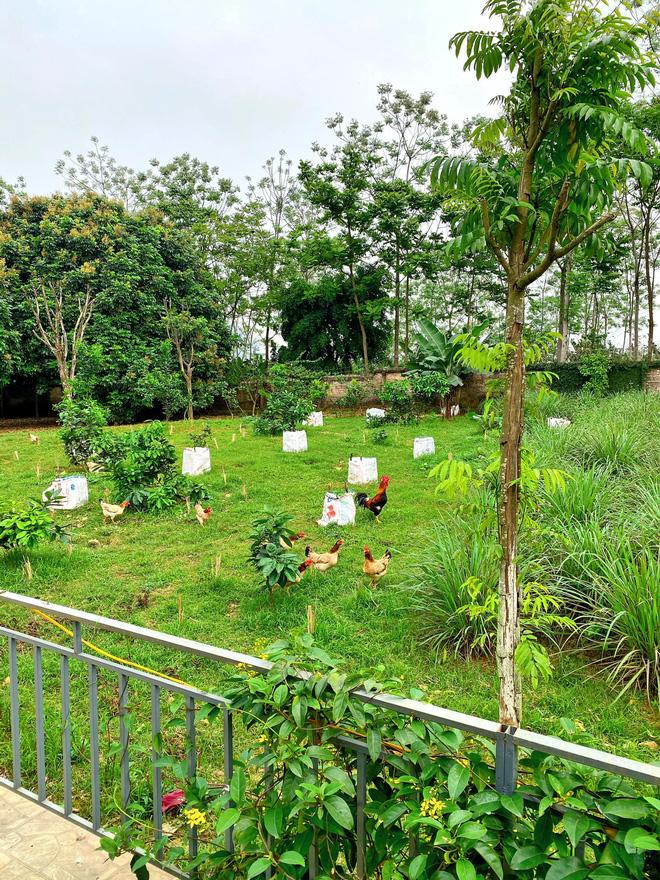 Bà xã Á hậu khoe mâm cơm Shark Hưng tự nấu toàn món của nhà làm ra nhưng sang - xịn không ngờ-3