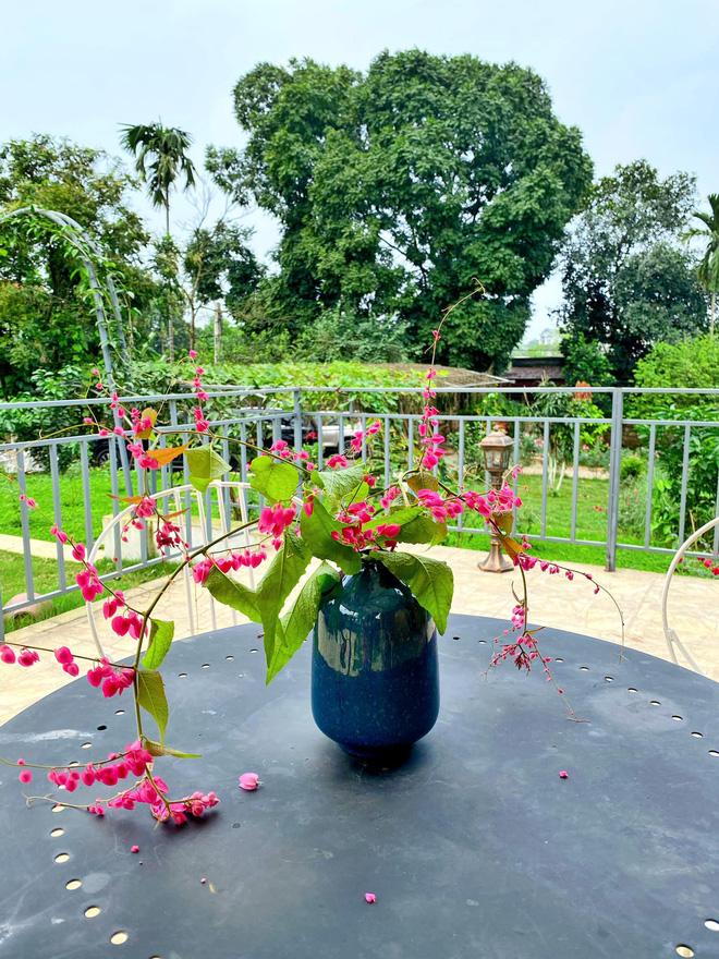 Bà xã Á hậu khoe mâm cơm Shark Hưng tự nấu toàn món của nhà làm ra nhưng sang - xịn không ngờ-4