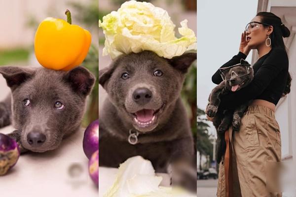 Idol Nguyễn Văn Dúi bị khui ra 1.001 kiểu ngáp: Nhìn thôi đã thấy cuộc đời nở hoa-3