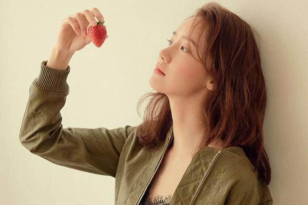 Ý nghĩa phong thủy của cây phát tài búp sen, đặt trong nhà giúp thêm tài lộc-3