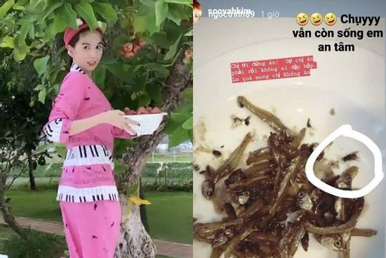 Ngọc Trinh khoe cảnh ăn cá khô, fan phát hiện con ruồi lù lù trên đĩa