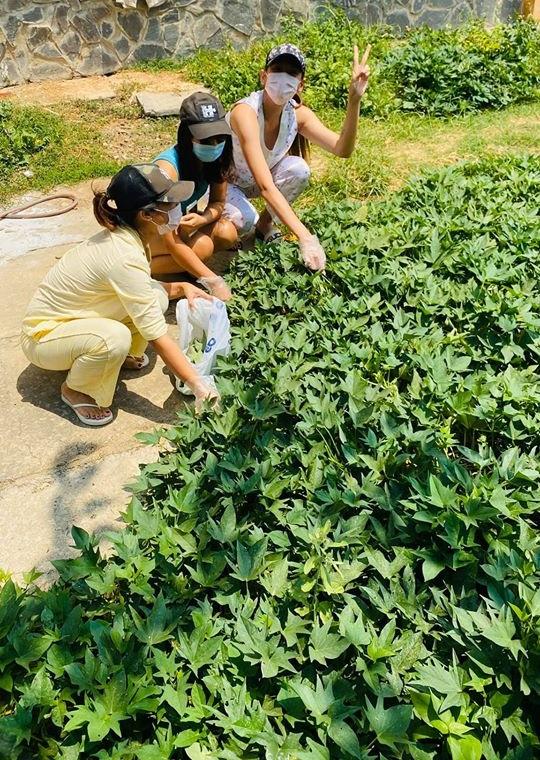 Ngày cách ly thứ 7 của Võ Hoàng Yến: Hái rau lang về luộc, đánh cầu lông với dân-4