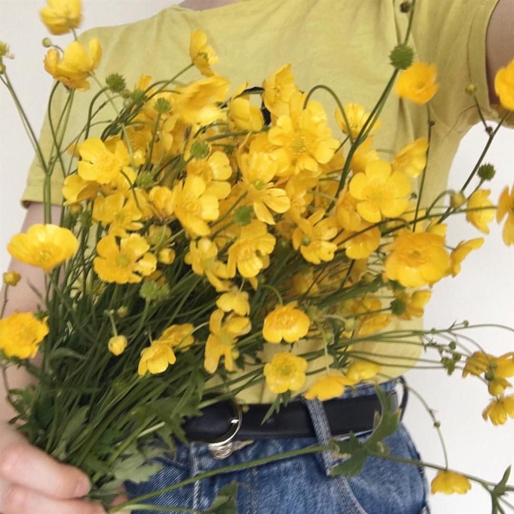 Tử vi thứ Năm ngày 26/3/2020 của 12 con giáp: Tý làm việc tận tâm, Tuất tránh nơi đông người-2