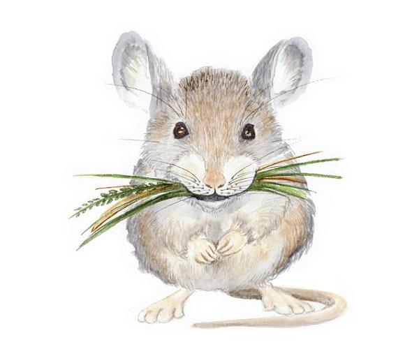 Những con giáp vung tay quá trán, dù kiếm bao nhiêu tiền cũng không đủ chi tiêu-1