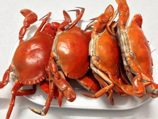 Khi rửa rau, thêm 2 nguyên liệu vào ngâm đảm bảo rau sạch hơn so với tưởng tượng-5