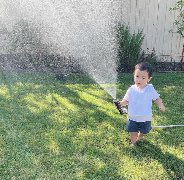 Hoa hậu Phạm Hương trồng rau, nuôi gà trên đất Mỹ-9