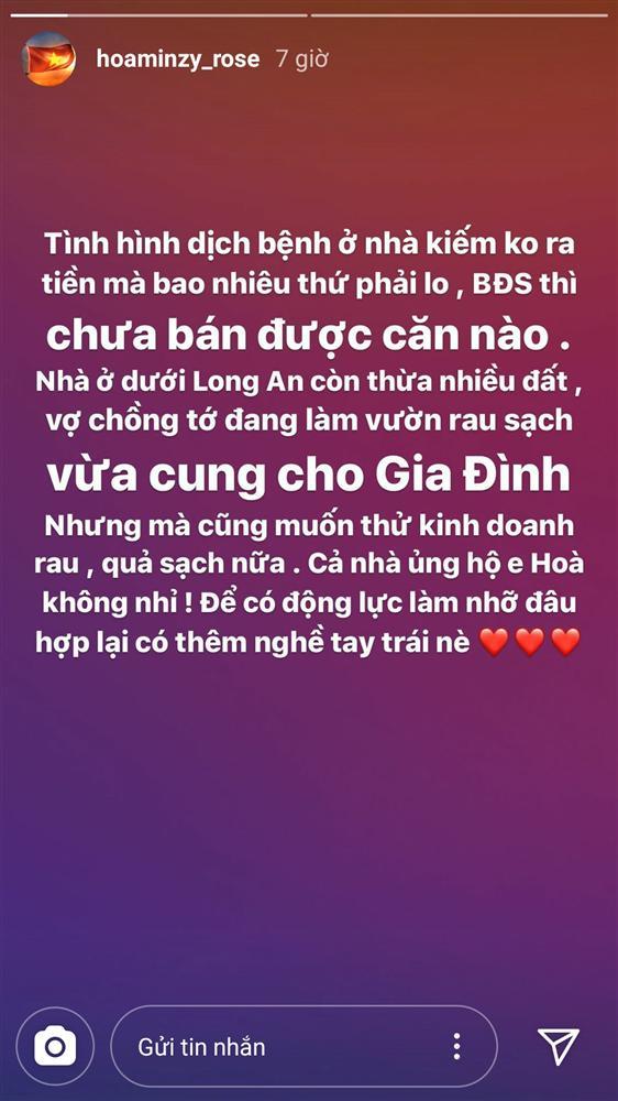 Đã ế show lại còn không bán được bất động sản, Hòa Minzy quyết định dùng đất trồng rau-3