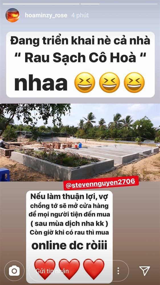 Đã ế show lại còn không bán được bất động sản, Hòa Minzy quyết định dùng đất trồng rau-4