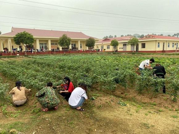 Tinh thần đẹp của quân và dân trong khu cách ly tại Hà Tĩnh-3