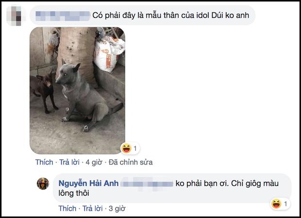 Sự thật về hình ảnh mẹ chú chó idol Nguyễn Văn Dúi, dân tình còn ngỡ ngàng vì giống nhau từ lông đến biểu cảm-4