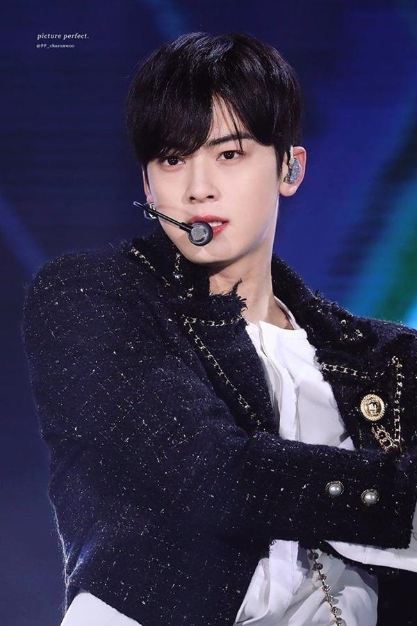 Cha Eunwoo (ASTRO): Cha Eunwoo được các fan yêu thích nhờ khuôn mặt đẹp trai và sự đa năng trong nghệ thuật. Không chỉ được fan ưu ái dành tặng biệt danh 