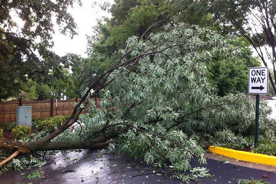 Bất ngờ bị hàng xóm chặt cây, chặn cửa nhà vì nghi ngờ nhiễm virus