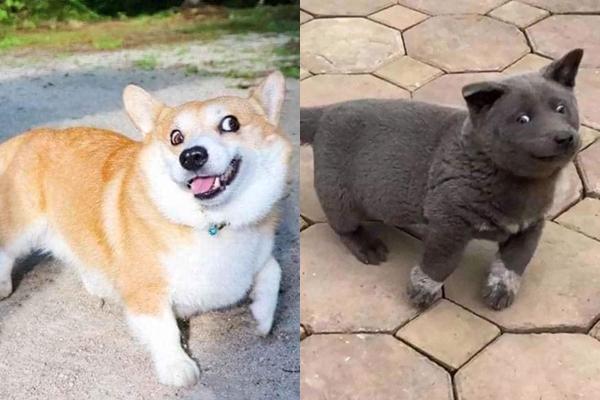 Hình ảnh siêu xe bạc tỷ ngụp lặn dưới sông, nguyên nhân kiến dân mạng xôn xao-4