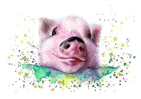 Top 4 con giáp dễ khóc vô cùng, khi cảm xúc dâng trào thì mọi thứ đều ngập trong màu nước mắt-3