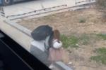 Du học sinh tại Trung Quốc nhảy qua cửa sổ xe ôtô để trốn cách ly