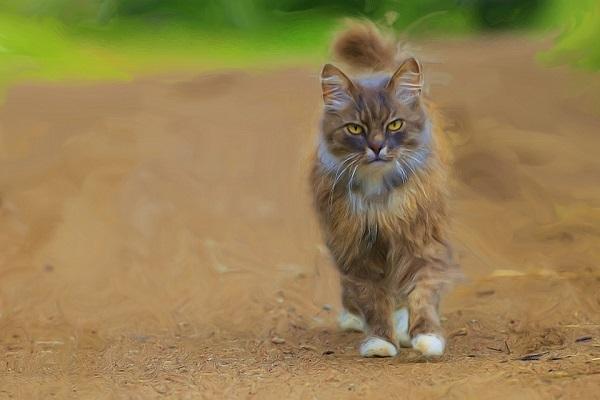 Hết yêu nhưng không dám nói lời chia tay, đó chính là những con giáp này-2