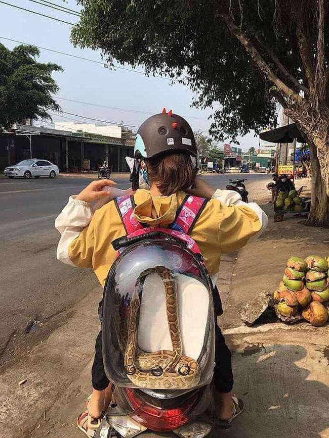 Cô gái làm dân tình tái mặt khi để thứ kinh dị trong ba lô rồi tung tăng dạo phố-1