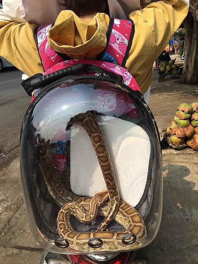 Cô gái làm dân tình tái mặt khi để thứ kinh dị trong ba lô rồi tung tăng dạo phố-2