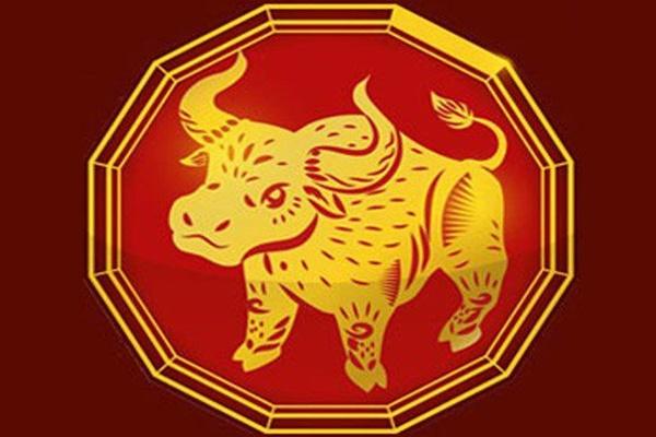 3 con giáp đổi vận bất ngờ, tài lộc bùng nổ nửa cuối năm 2020-2