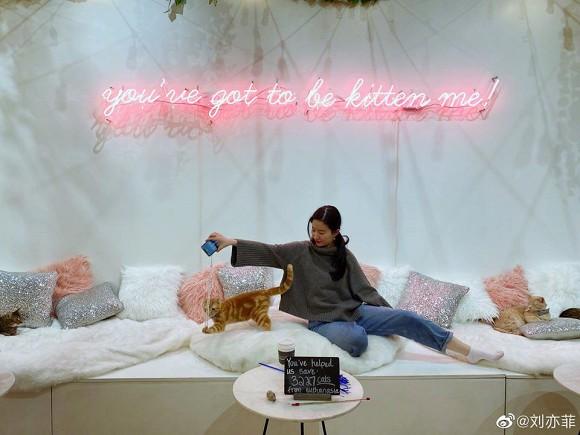 Lên đồ đơn giản nhưng Thần tiên tỷ tỷ Lưu Diệc Phi lại sử dụng món phụ kiện hàng chục triệu đồng-1