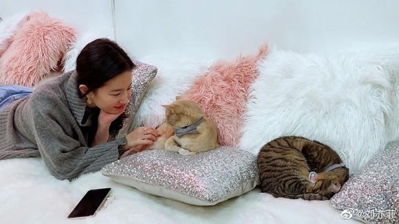 Lên đồ đơn giản nhưng Thần tiên tỷ tỷ Lưu Diệc Phi lại sử dụng món phụ kiện hàng chục triệu đồng-3