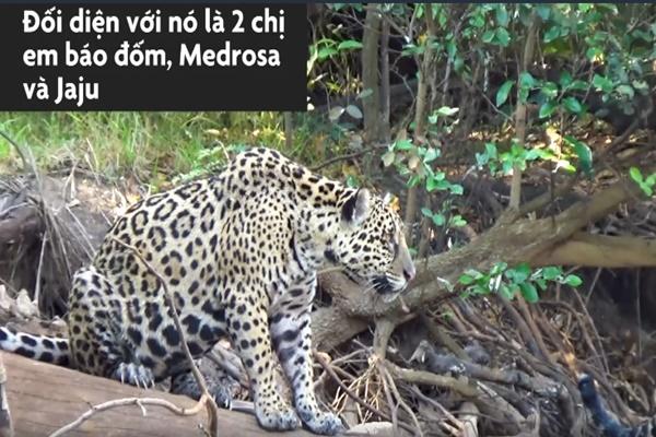 Vẻ đẹp thác nước ngoạn mục nhất Nam Mỹ-1