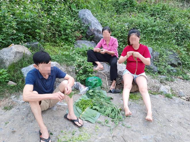 Lần đầu thấy mẹ thất nghiệp ở nhà hái rau, người con không buồn mà mừng rỡ vì một lý do-2