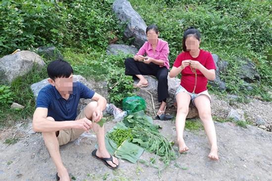 Lần đầu thấy mẹ thất nghiệp ở nhà hái rau, người con không buồn mà 'mừng rỡ' vì một lý do