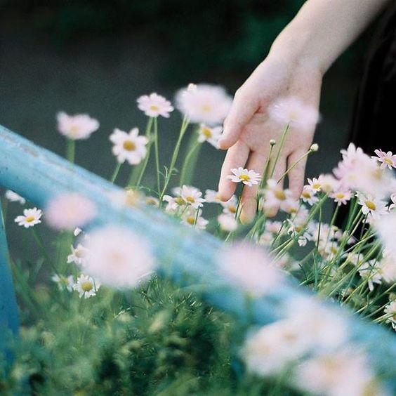 Tử vi thứ Sáu ngày 3/4/2020 của 12 con giáp: Hợi lĩnh đủ xui xẻo, Dần sự nghiệp hanh thông-1