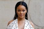 Rihanna - Biểu tượng gợi cảm bầm dập vì yêu nhầm kẻ vũ phu-11