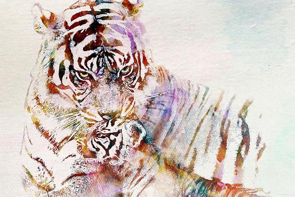 3 nàng giáp nổi tiếng xinh đẹp, giỏi kiếm tiền nhưng lại chẳng thích lấy chồng, chỉ thích được tự do-4