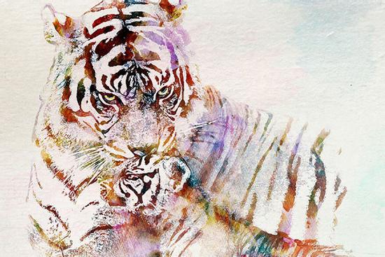 Những con giáp nam có tầm nhìn phi thường, dám phá vỡ mọi giới hạn, gạt bỏ mọi định kiến