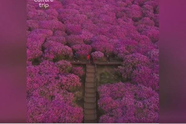 Cận cảnh bên trong khách sạn hạng sang ở Thụy Sĩ cung cấp dịch vụ cách ly lên tới 1,8 tỷ đồng-4