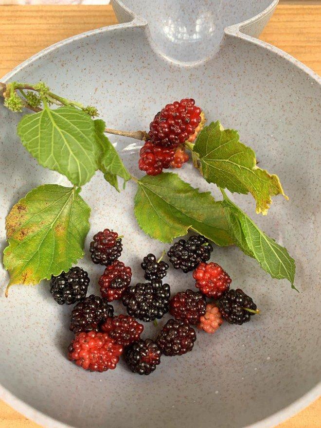 Chồng không thích cho con ăn kẹo, Phan Như Thảo vẫn tự làm kẹo mút thơm ngon cho con gái-3