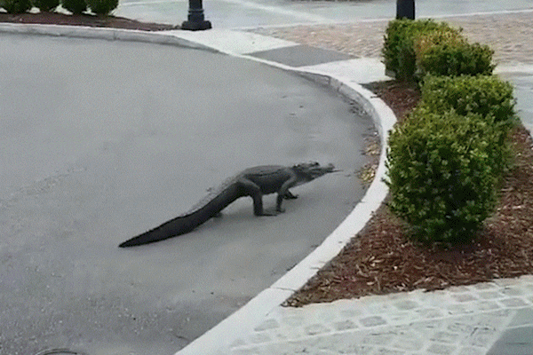 Thành phố nổi trên 200 hang động ngầm dưới nước-1