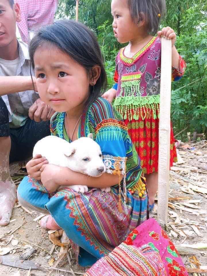 Bé gái vùng cao nằng nặc giữ chú chó nhỏ không bán, hoàn cảnh phía sau khiến triệu người xúc động-2