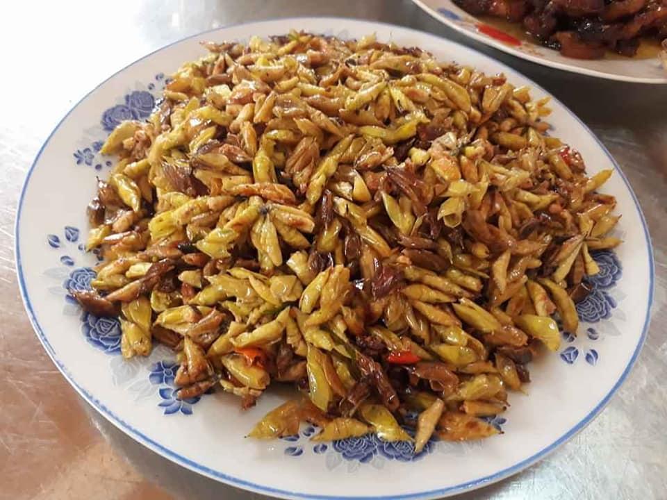 Độc, lạ món nhộng sâu muồng - tôm rừng của Tây Nguyên-1